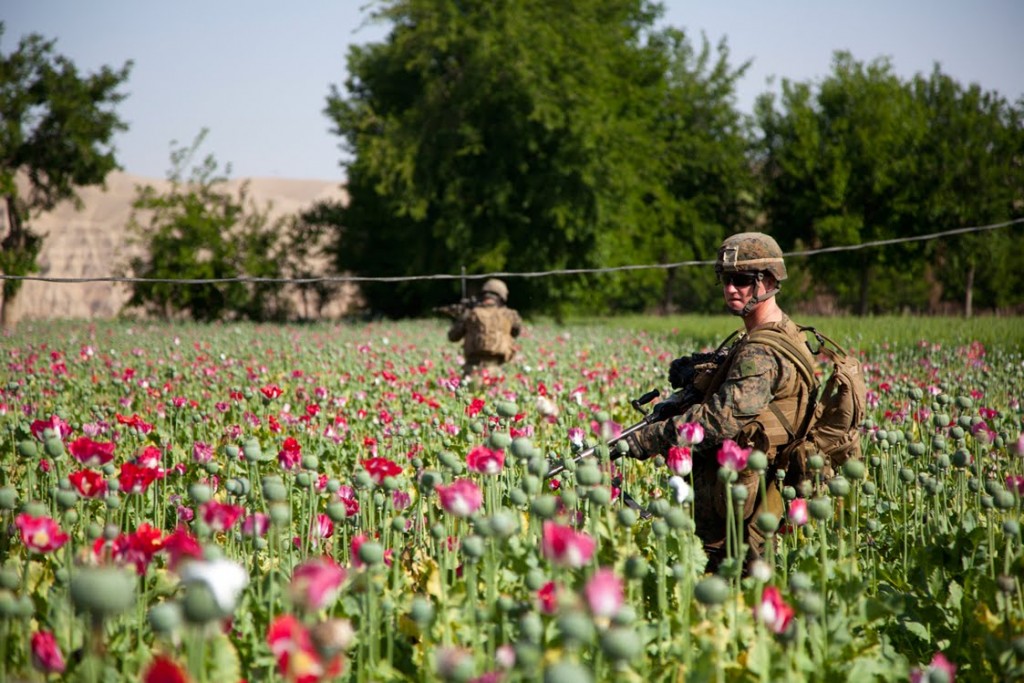 2014-02-04_US-SoldatenInMohnfeldern_Afghanistan_AllesSchallUndRauch