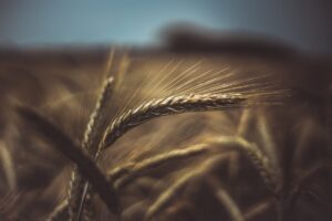 Krieg und ein strategischer Rohstoff